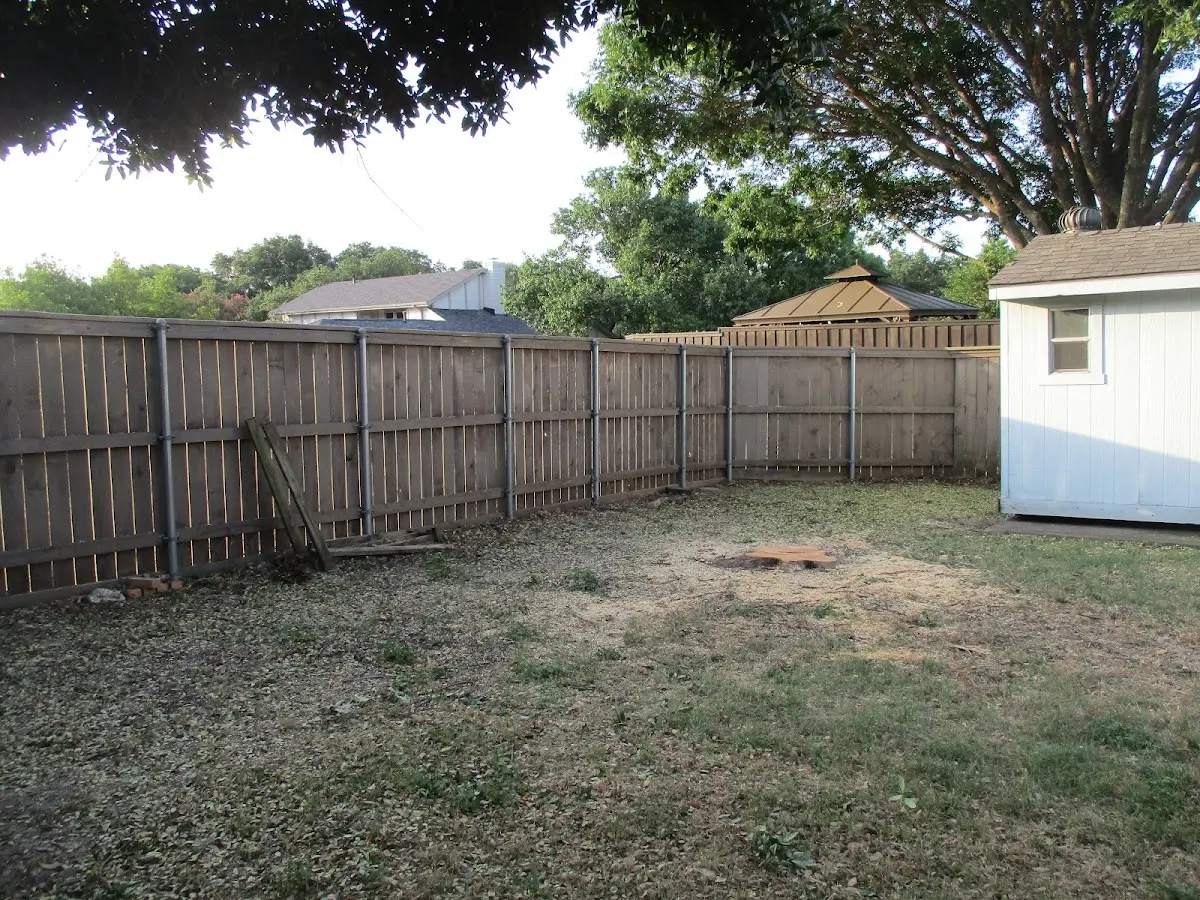 Cleared yard after professional tree removal in Elmwood